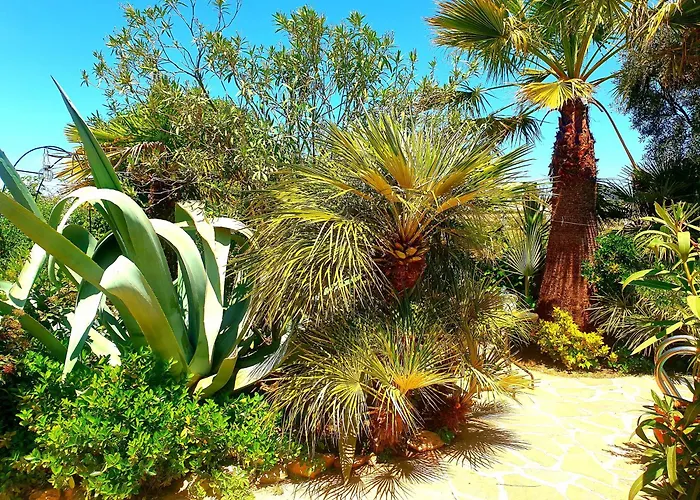 Cortijo Paraiso
