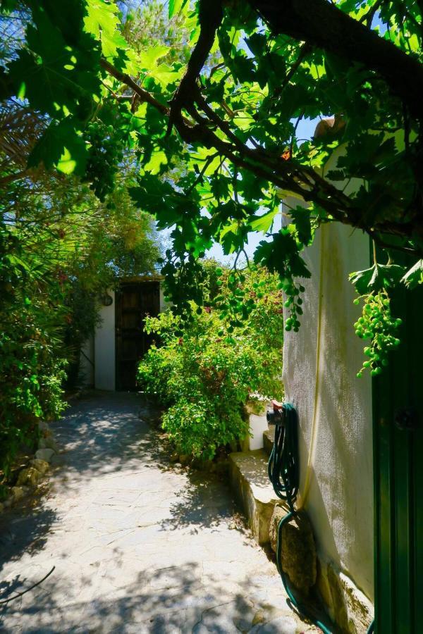 Cortijo Paraiso Apartment