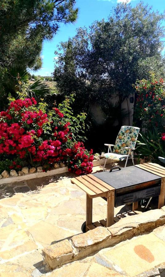 Cortijo Paraiso Charcon Higuera