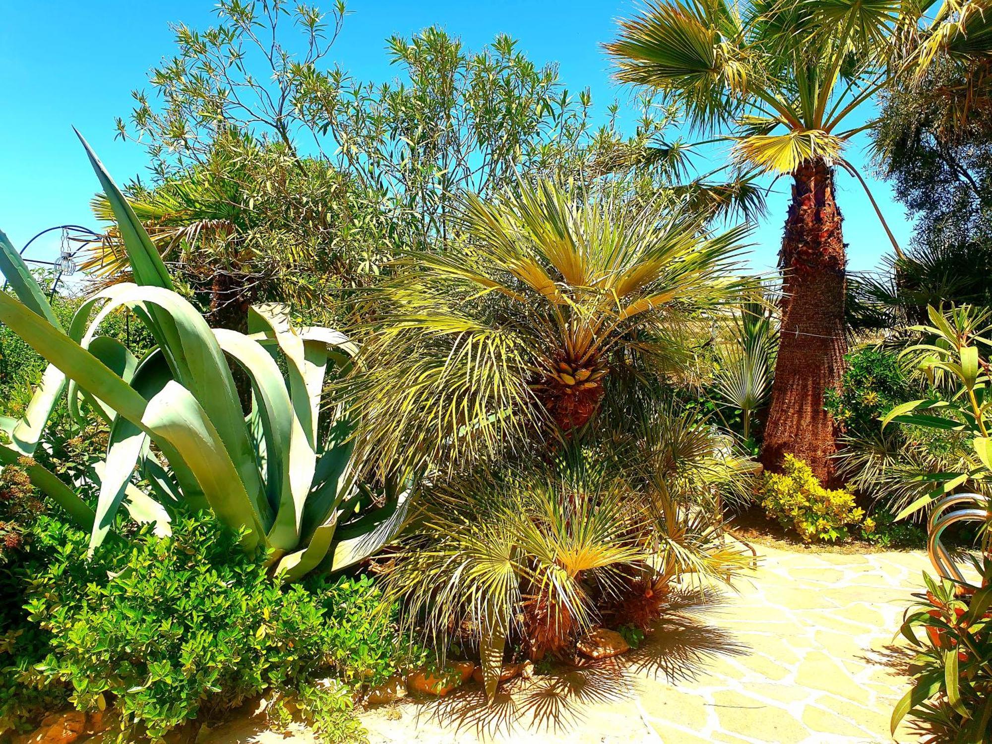 Cortijo Paraiso